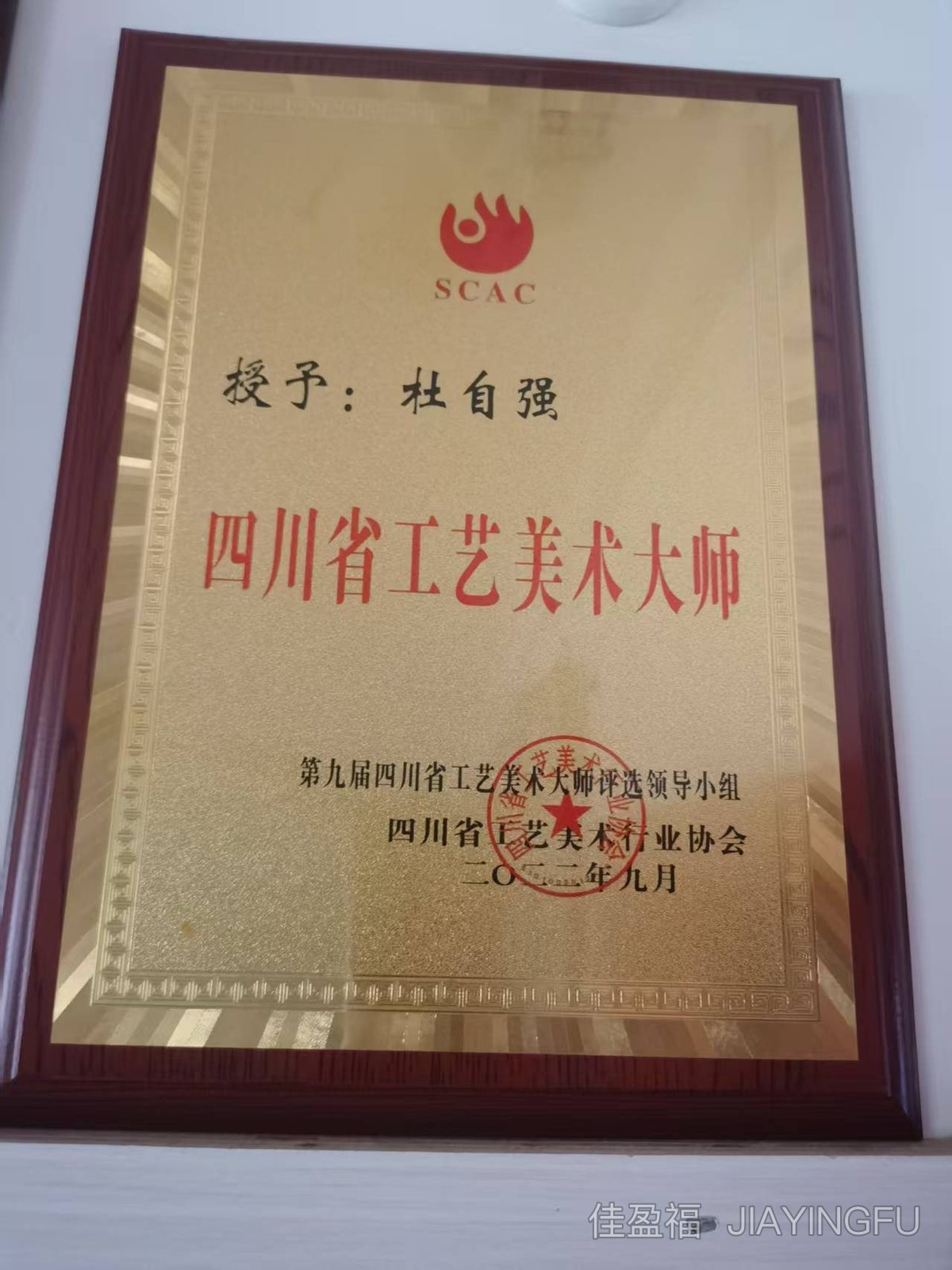 Award plaque · 荣誉奖牌 Award plaque · 荣誉奖牌